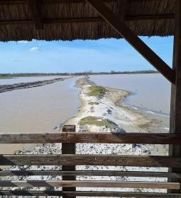 Bivalyrezervátum Mórahalom