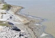 Bivalyrezervátum Mórahalom Mórahalom