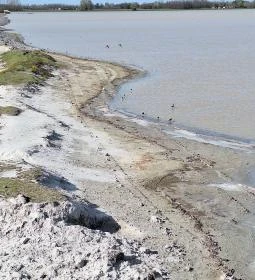 Bivalyrezervátum Mórahalom