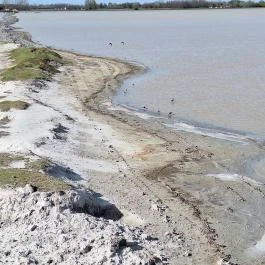 Bivalyrezervátum Mórahalom Mórahalom - Külső kép