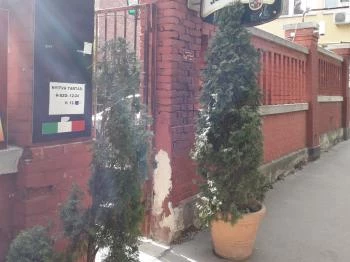 Black Dog Terasz & Pizzéria Budapest