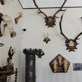 Magyar Mezőgazdasági Múzeum és Könyvtár Blaskovich Múzeuma Tápiószele - Belső