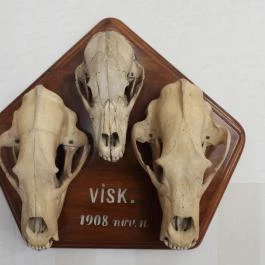 Magyar Mezőgazdasági Múzeum és Könyvtár Blaskovich Múzeuma Tápiószele - Egyéb