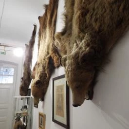 Magyar Mezőgazdasági Múzeum és Könyvtár Blaskovich Múzeuma Tápiószele - Egyéb