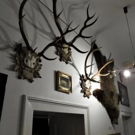 Magyar Mezőgazdasági Múzeum és Könyvtár Blaskovich Múzeuma Tápiószele - Egyéb