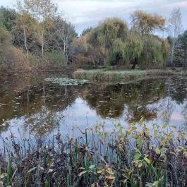 Bodrogi Kúria Wellness Hotel Inárcs - Medence/kert