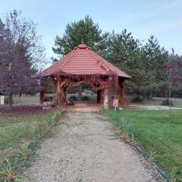 Bodrogi Kúria Wellness Hotel Inárcs - Medence/kert