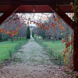 Bodrogi Kúria Wellness Hotel Inárcs - Medence/kert