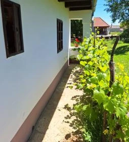 Bodrogkisfaludi Tájház