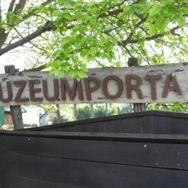 Bodrogközi Múzeumporta, Cigánd - Egyéb