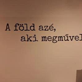 Bodrogközi Múzeumporta, Cigánd - Egyéb