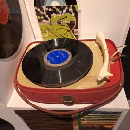 Bodrogközi Múzeumporta, Cigánd - Egyéb