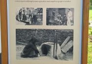 Bodrogközi Múzeumporta Cigánd