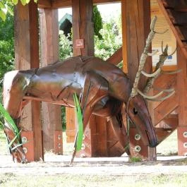 Bodrogközi Múzeumporta, Cigánd - Egyéb