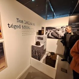 Bodrogközi Múzeumporta, Cigánd - Egyéb