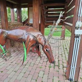 Bodrogközi Múzeumporta, Cigánd - Egyéb