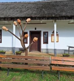 Bodrogközi Múzeumporta