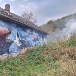 Bódvalenke freskói Bódvalenke - Egyéb