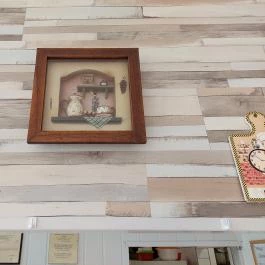 Bohém Szakácsok Ételbár, Dunaharaszti - Egyéb