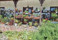 Bohnert család gyűjteménye Hőgyész