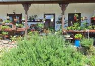 Bohnert család gyűjteménye Hőgyész