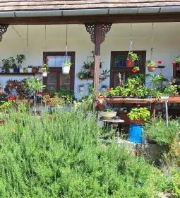 Bohnert család gyűjteménye