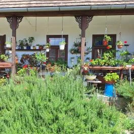Bohnert család gyűjteménye Hőgyész - Külső kép