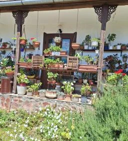 Bohnert család gyűjteménye