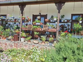 Bohnert család gyűjteménye Hőgyész