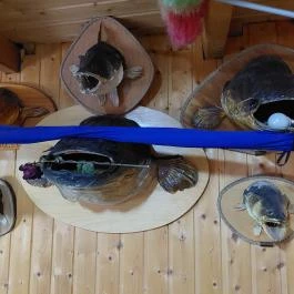 Bokodi-tó - lebegő falu, Oroszlány - Egyéb