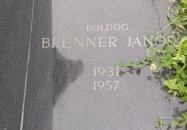 Boldog Brenner János Budapest