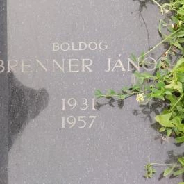 Boldog Brenner János Budapest - Egyéb