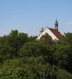 Boldog Mór-kilátó