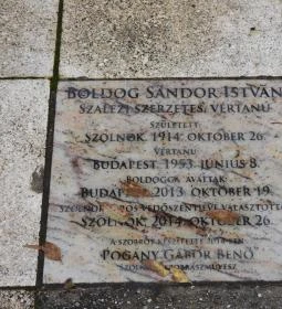 Boldog Sándor István szalézi vértanú