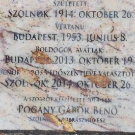 Boldog Sándor István szalézi vértanú Szolnok - Egyéb