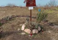 Boldogasszony Béke-Szeretet Emlékhelye Balatonvilágos