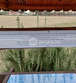 Boldogasszony Forráskút Emlékhelye