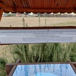 Boldogasszony Forráskút Emlékhelye, Balatonföldvár - Egyéb