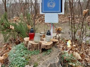 Boldogasszony Gyógyító-Szeretet Emlékhelye Zamárdi