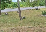 Boldogasszony (Kisasszony) kápolna Markaz