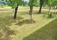 Boldogasszony (Kisasszony) kápolna Markaz