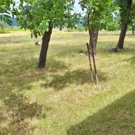 Boldogasszony (Kisasszony) kápolna Markaz - Külső kép