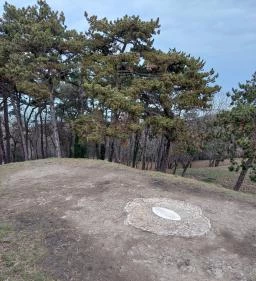 Boldogasszony sugárzó Hold oltára