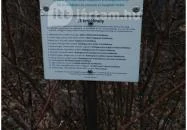 Boldogasszony Tulipános Széke Fonyód