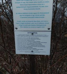 Boldogasszony Tulipános Széke