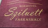 Borhotel Sziluett Farkasmály étterme Gyöngyös - Egyéb