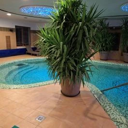Bornemisza Kúria Wellness Apartman Tiszabecs - Wellness