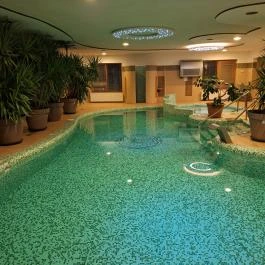Bornemisza Kúria Wellness Apartman Tiszabecs - Wellness