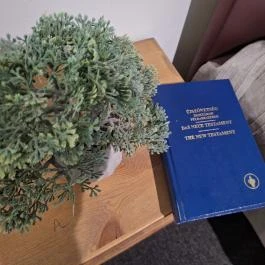 Bornemisza Kúria Wellness Apartman Tiszabecs - Egyéb