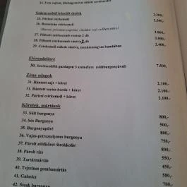 Borostyán Étterem Forráskút - Étlap/itallap
